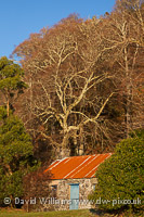 Old Shed, Benderloch.